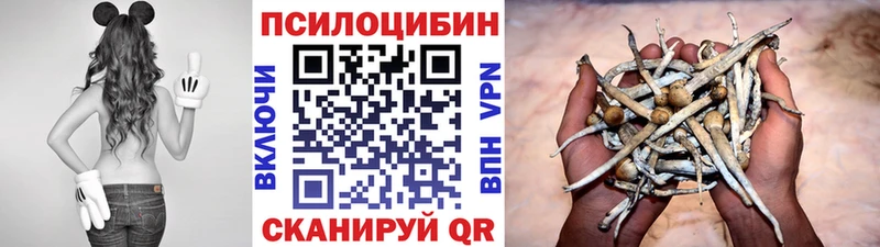 Псилоцибиновые грибы Magic Shrooms  Шахты 